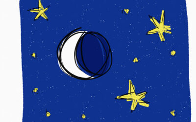 Stage Le MONDE NOCTURNE & BALADE aux ÉTOILES